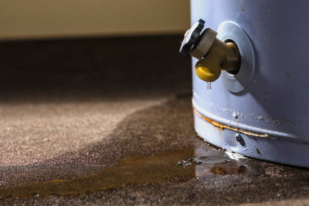 Best Sewage cleanup and water damage restoration  in Dellwood, MO