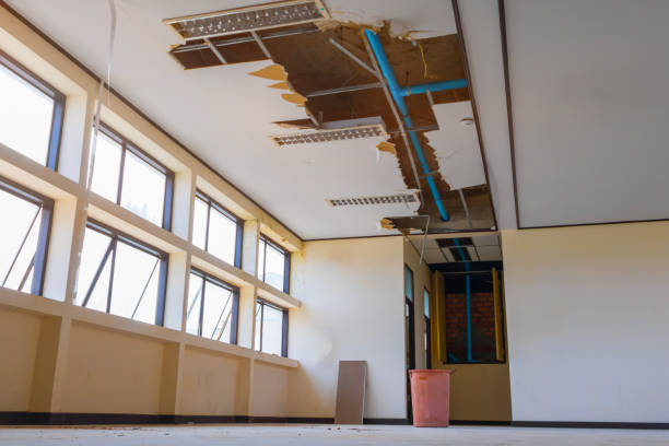 Best Water damage restoration company  in Dellwood, MO