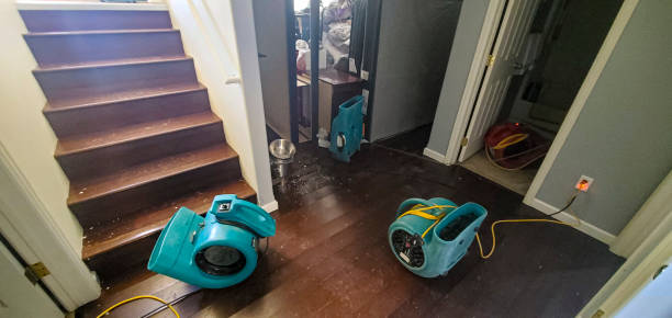 Best Flood damage cleanup  in Dellwood, MO
