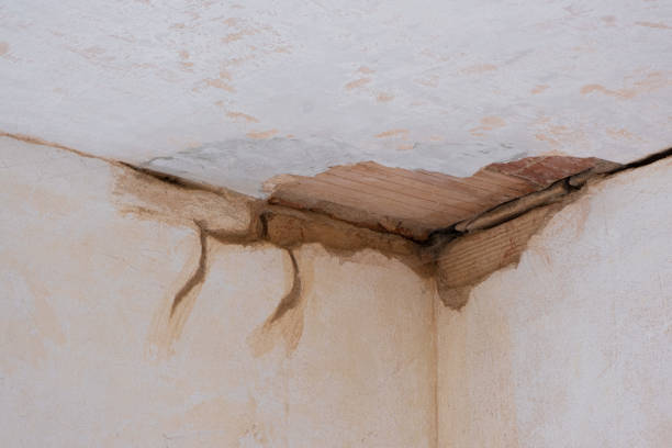 Best 24/7 water damage repair  in Dellwood, MO