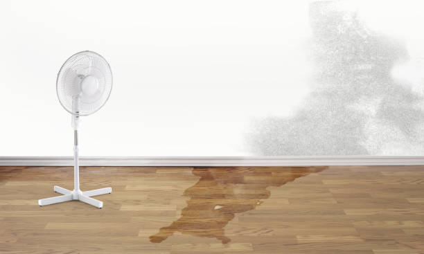 Best Ceiling water damage repair  in Dellwood, MO