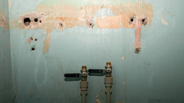  Dellwood, MO Water damage restoration Pros