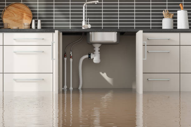 Best Mold removal after water damage  in Dellwood, MO